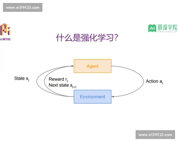极限身体对抗训练方法与实战技巧全方位解析